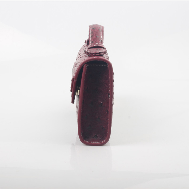 Nuove Borse da Donna Dubai con - Women Bags Dubai recensione e prezzo