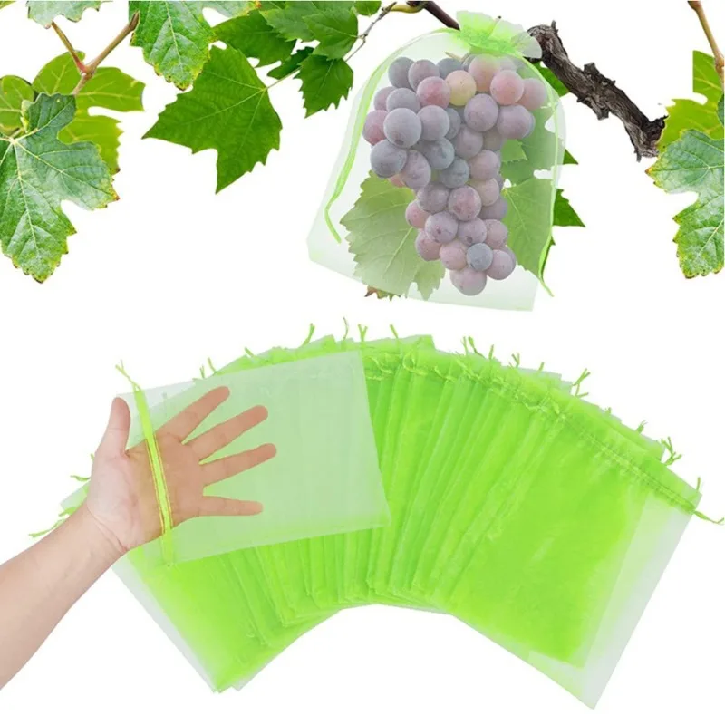 50 Sacchetti a Rete per Protez - Mesh Net Bag recensione e prezzo